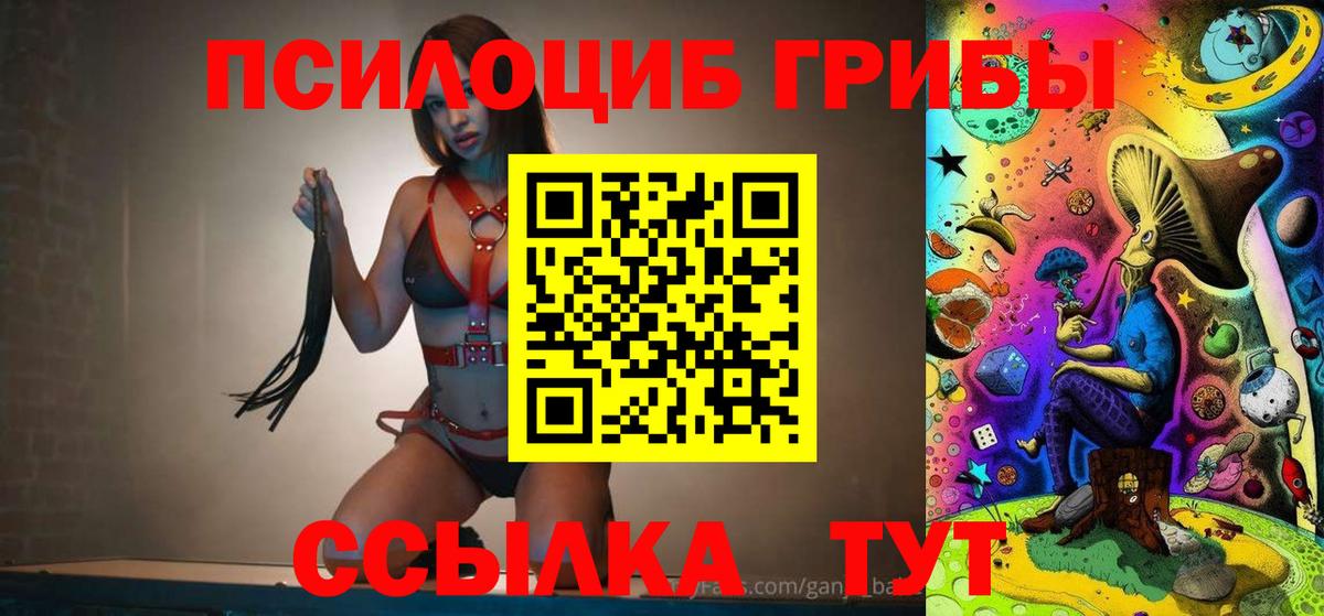 Бор  Псилоцибиновые грибы Psilocybe  Вход с VPN 