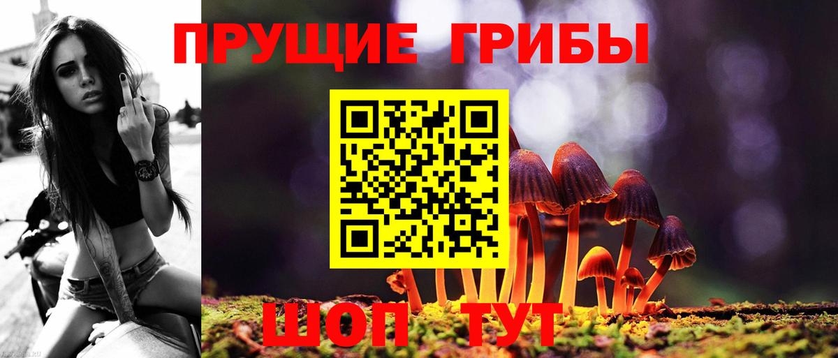 Галлюциногенные грибы MAGIC MUSHROOMS Бор